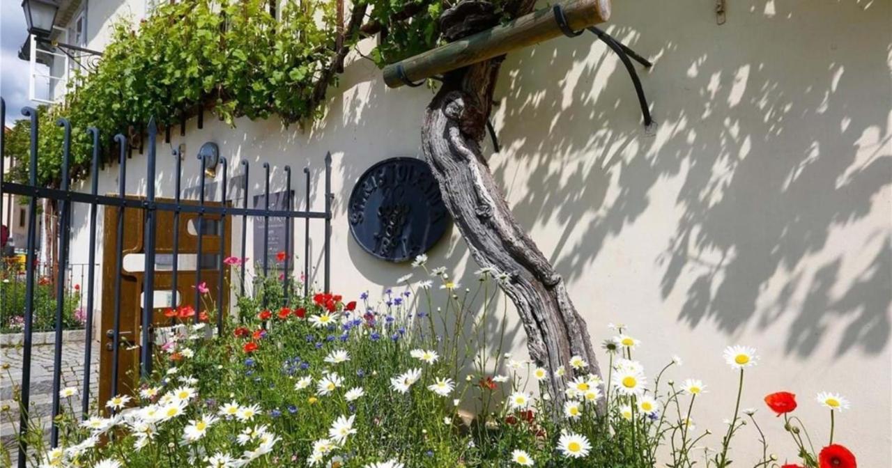 Urlaub Fuer Die Seele - Erholung Pur In Der Natur - Ferienhaus Mit Infrarotkabine & Relax-Raum Rucmanci Εξωτερικό φωτογραφία