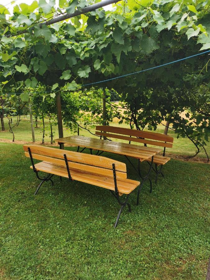 Urlaub Fuer Die Seele - Erholung Pur In Der Natur - Ferienhaus Mit Infrarotkabine & Relax-Raum Rucmanci Εξωτερικό φωτογραφία